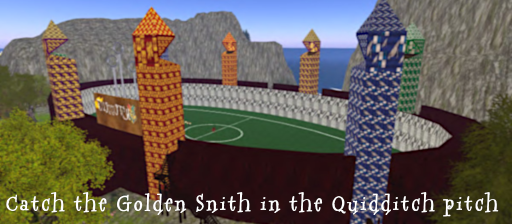 Quidditch pitch