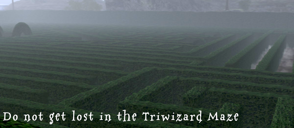 Triwizard Maze